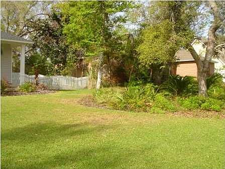 Landscaping in front yard