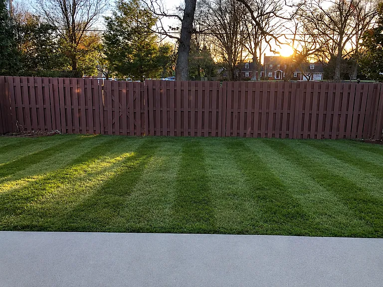 backyard patio and lawn from sun room window