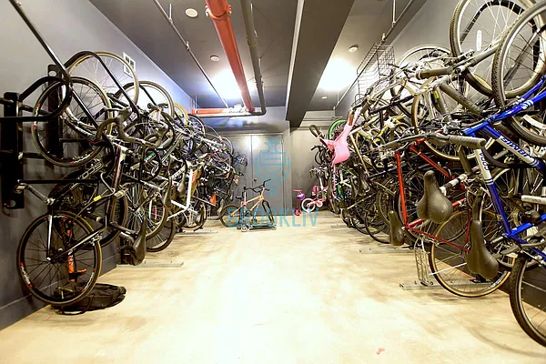 Rented by null | media 38