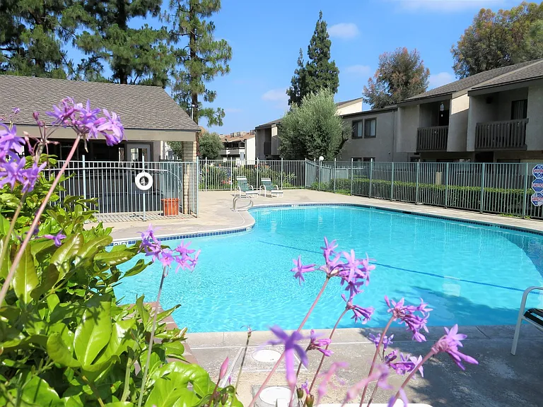 Spring Tree Apartments — Photo 32
