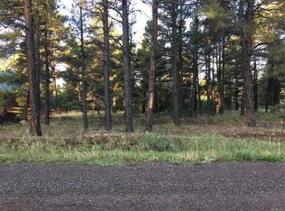 630 Antelope Ave, Pagosa Springs, CO 81147