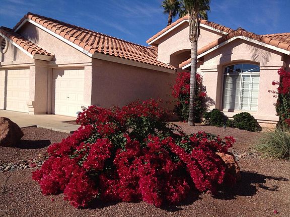 2nd image of 4706 E Desert Cactus St