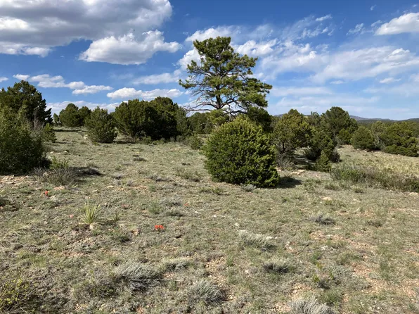 705 Riggs Rd, Westcliffe, CO 81252