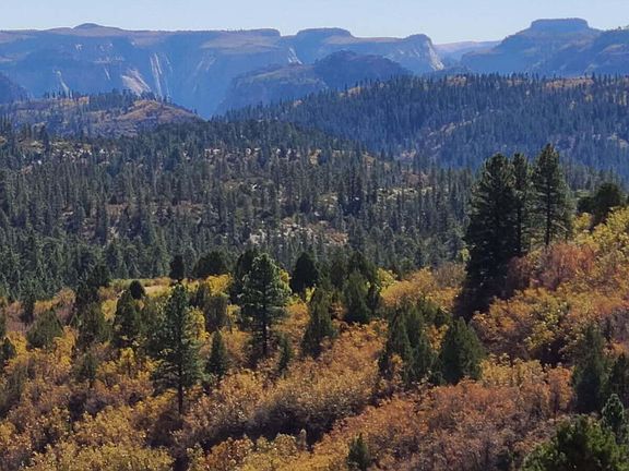 4th image of 2355 E Oak Tree Dr