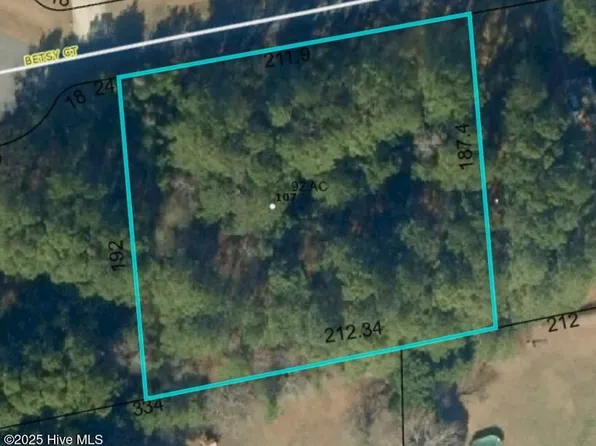 107 Betsy Ct Lot 6, Grandy, NC 27939