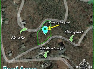 Mockingbird Ln #183, Dillard, GA 30537