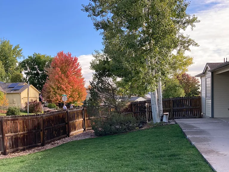 3011 Ivy Dr — Photo 10
