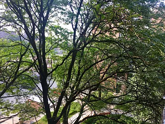 Rented by Bruma Realty LLC