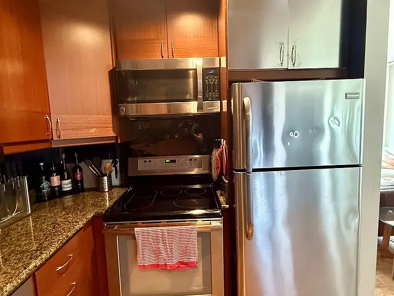 702 Ash St #1002 — Photo 12