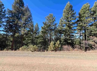 156 Back Basin Rd, Angel Fire, NM 87710
