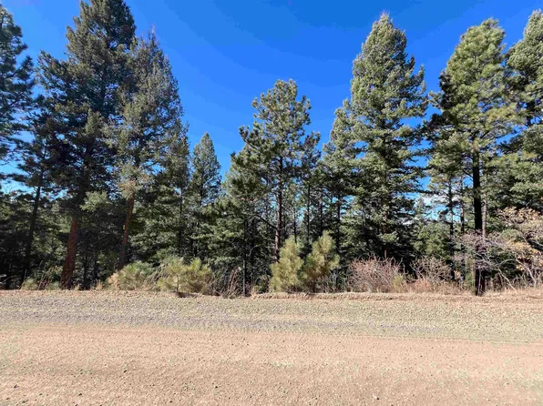 Lot 156 Back Basin Rd, Angel Fire, NM 87710