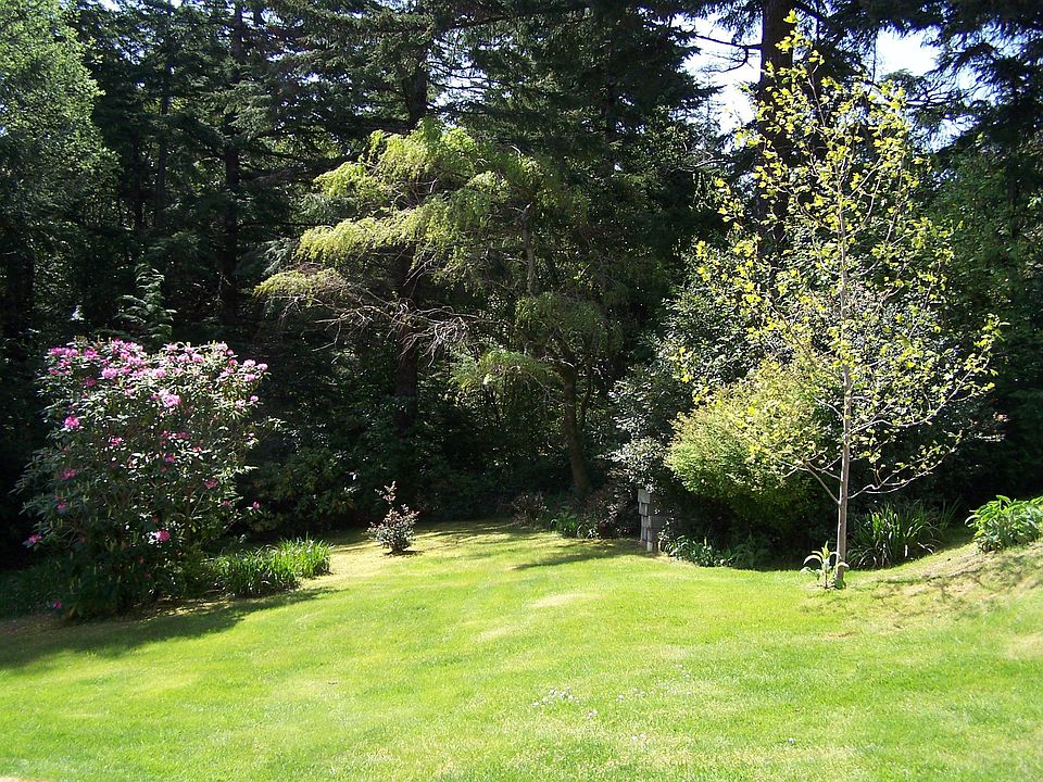 Side Yard