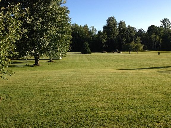 Mature trees and landscaping