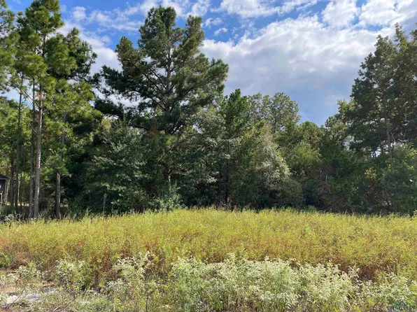 19363 Cedarpark Pl Lot 33, Lindale, TX 75771