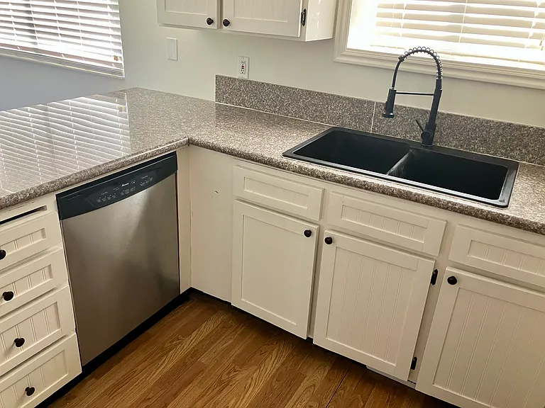 Farmhouse sink and dishwasher