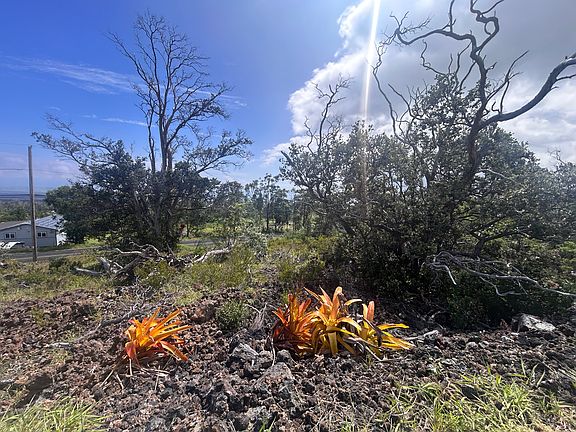 3rd image of Reef Pkwy Lot 27