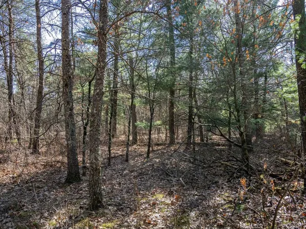 Lot 3 Morros Mile Road #3, Necedah, WI 54646