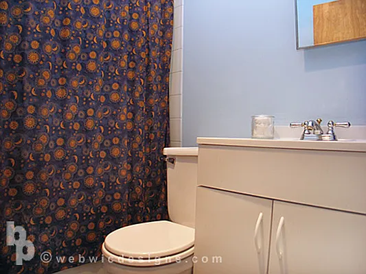 Sold by Brooklyn Properties | media 20