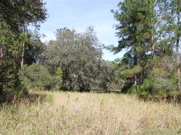 Duboise Dr, Clermont, FL 34711