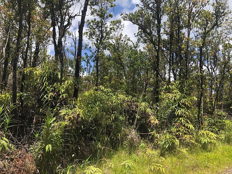 2nd image of Malia Aina Rd Lot 28
