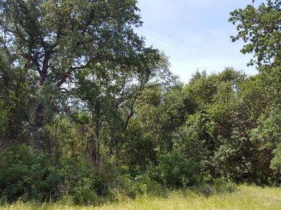 6788 Rector Creek Rd, Ono, CA, 96047