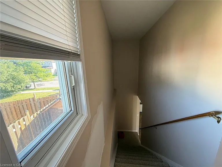 11 Hackberry St #1 — Photo 12