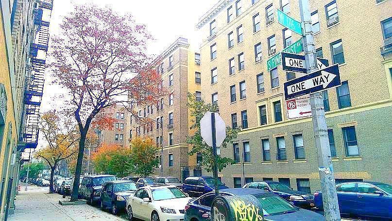 1st image of 835 W 176th St APT Bb
