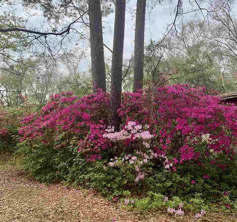 1st image of 18078 Landes Ct