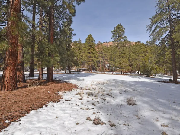 LOT-42A Spruce Dr, Jemez Springs, NM 87025