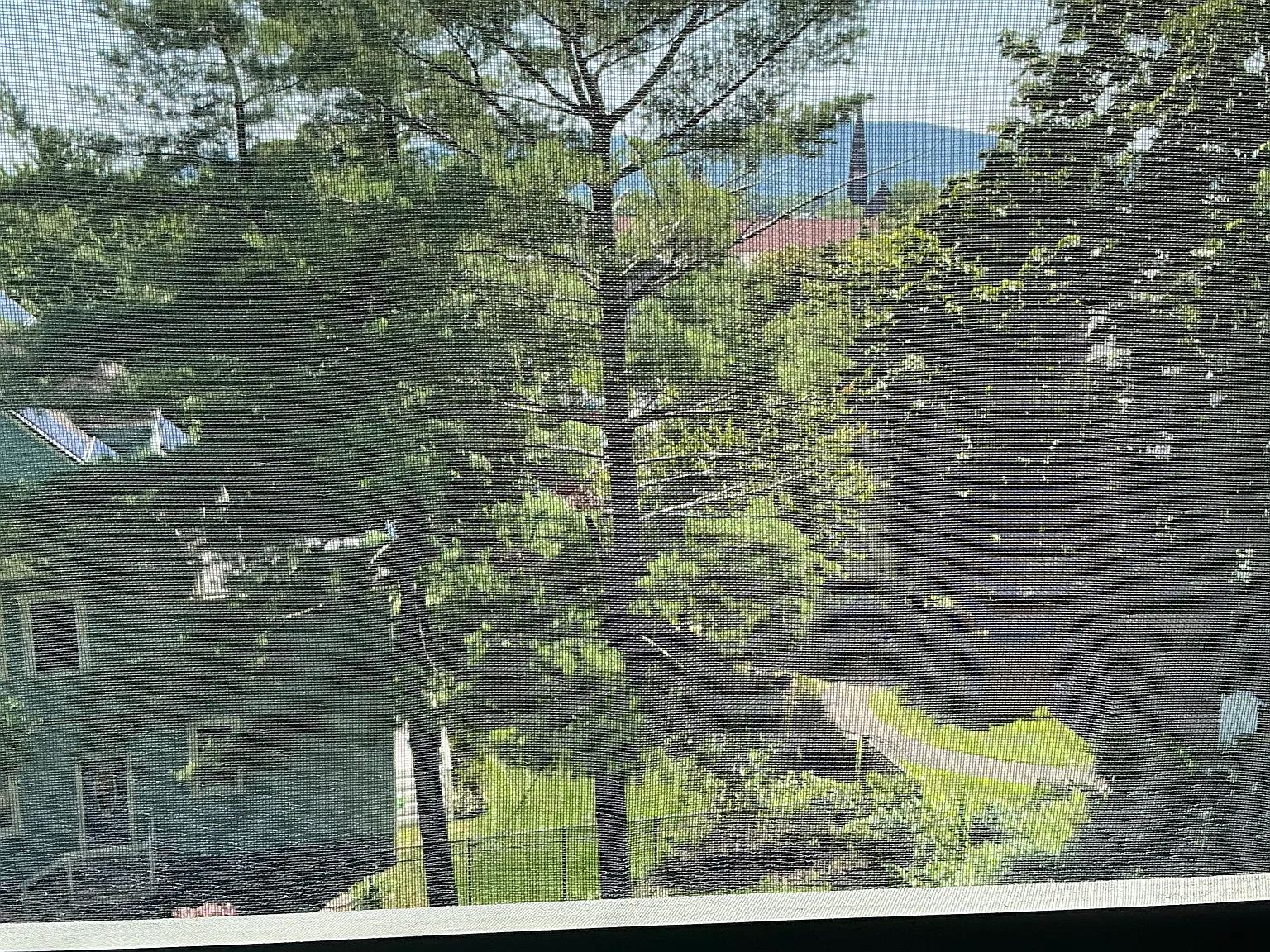 2 bed, $2,860 — Photo 2