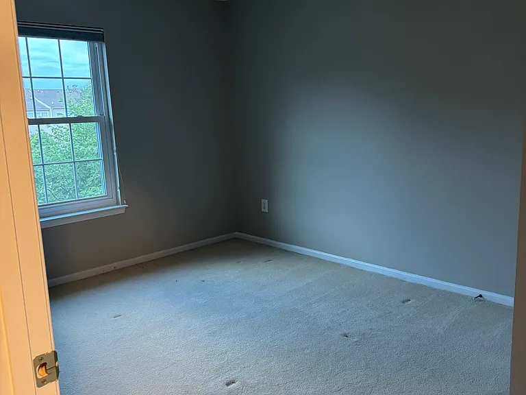 217 Braxton Way — Photo 17