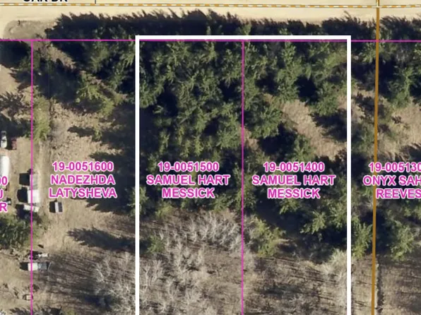 Lots 22 & 23 Oak Dr, Browerville, MN 56438