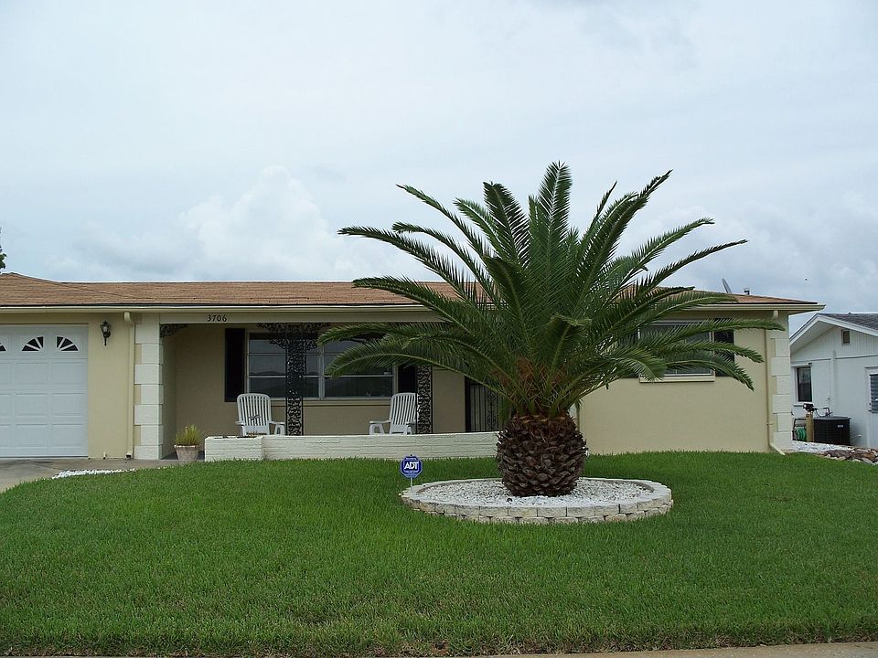 Beautiful Palm Tree in Front