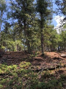 195 Osoeola Rd, Woodland Park, CO, 80863