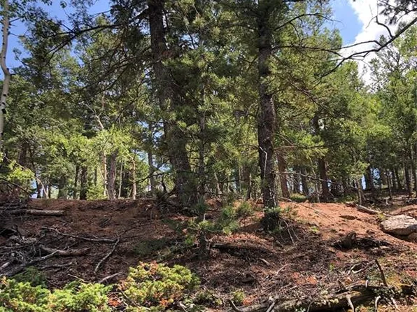 195 Osoeola Rd, Woodland Park, CO 80863