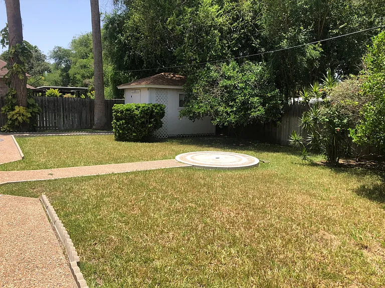 back yard