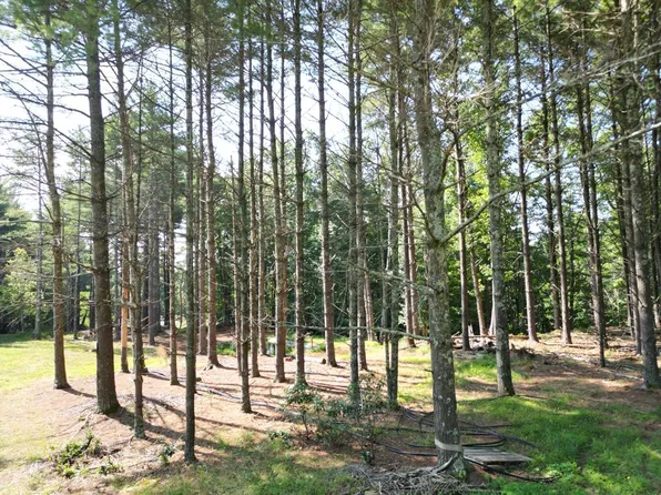 221 Blue Deer Run, Floyd, VA 24091