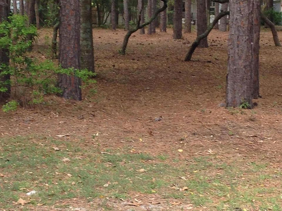 1st image of Lot 36 Deerwood Circle LOT 36