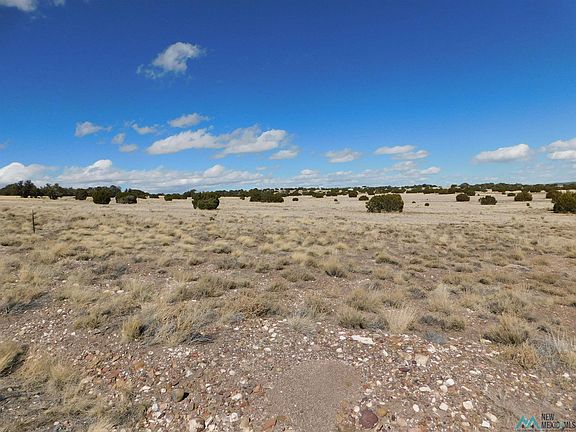 5th image of 217 Lariat Ln