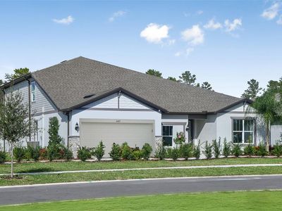 12047 Orchid Ash St, Riverview, FL, 33579