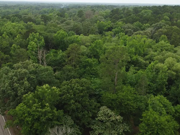 County Road 1418, Quitman, TX 75783