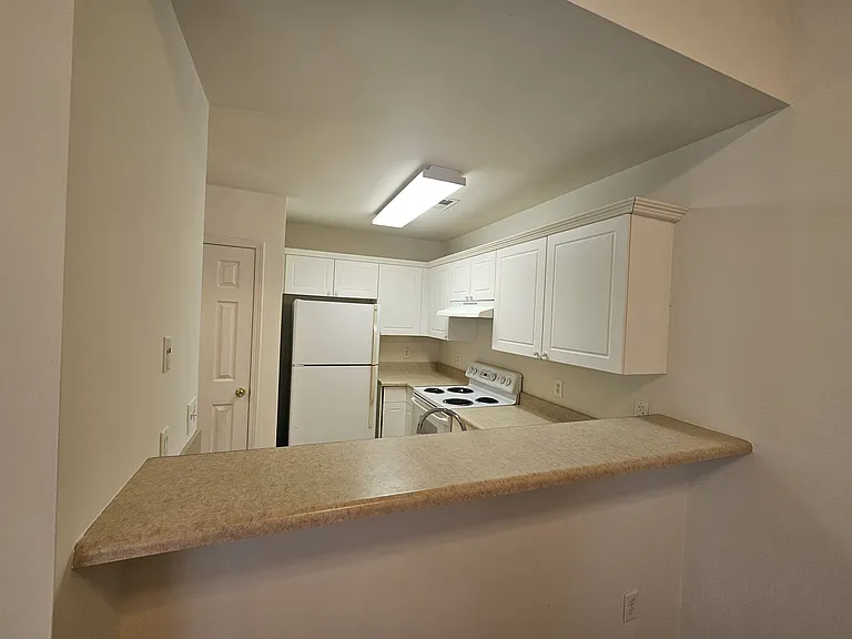 4212 Winding Branches Dr — Photo 5