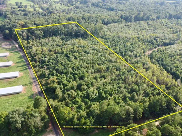 TRACT 3 Fm 130, Hughes Springs, TX 75656