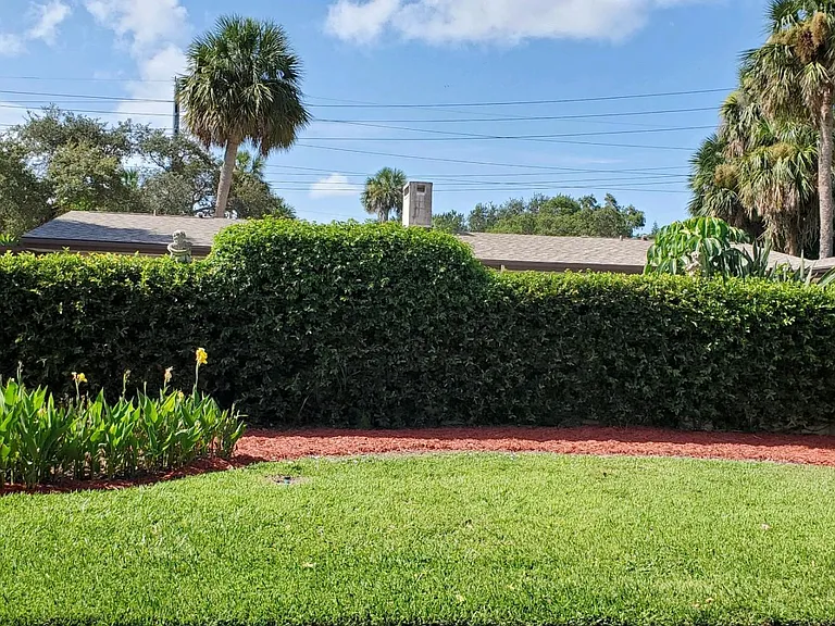 Front yard with vine covered wall creating a private pool area in front of house; picture of front will be updated
