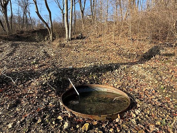 15th image of this home