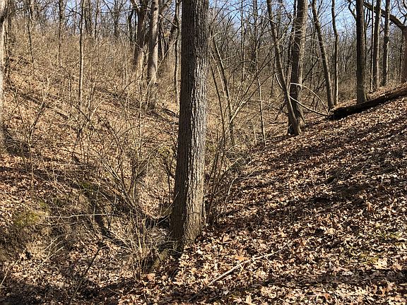 200” Deer encounter 