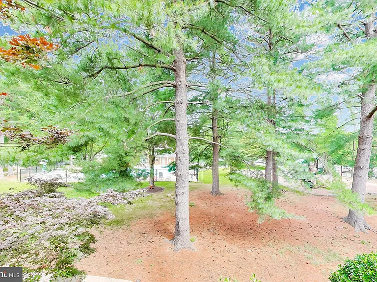 13117 Wonderland Way #4 — Photo 23