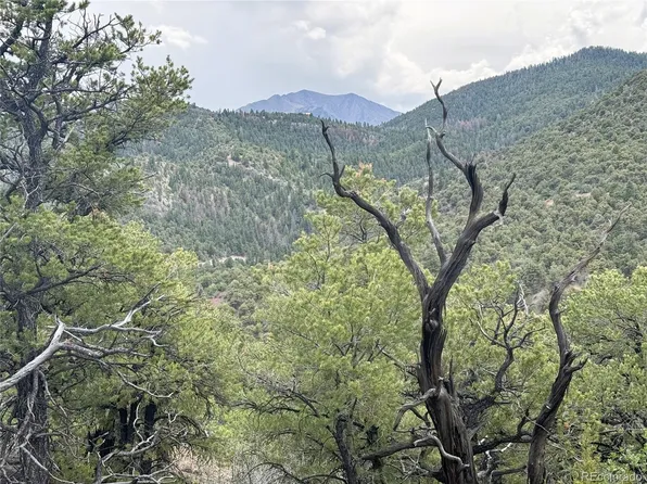 3282 Lower Camp Road LOT 12, Howard, CO 81233