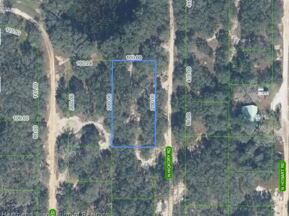 3195 N Hickory Rd, Avon Park, FL 33825