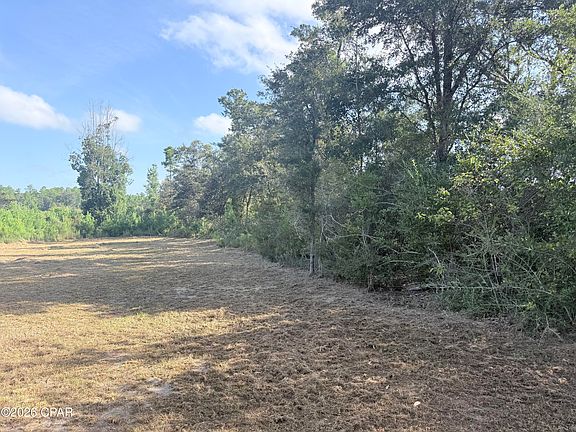 4th image of 2297 Reedy Creek Rd